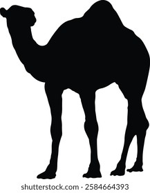 Silhouette of Sacrifice Animal. Eid Al Adha Celebration. Isolated on White Background.