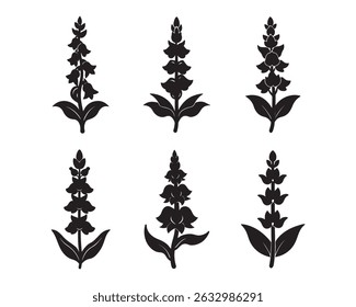Silhueta de uma Planta Sálvia, a-snapdragon-flower-icon-with-a-tall-stalk-and-dra