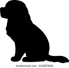 Silhouette Of Saint Bernard Dog Sitting In Side View