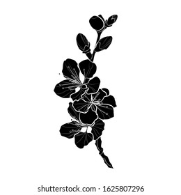 Silhouette of a sakura branch. Cherry blossom. Black and white illustration. Vector.