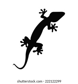 Silhouette of a salamander