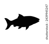 silhouette of salmon isolated on white