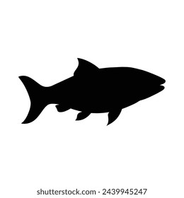 silhouette of salmon isolated on white