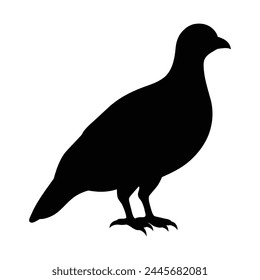 silhouette of a sandgrouse bird
