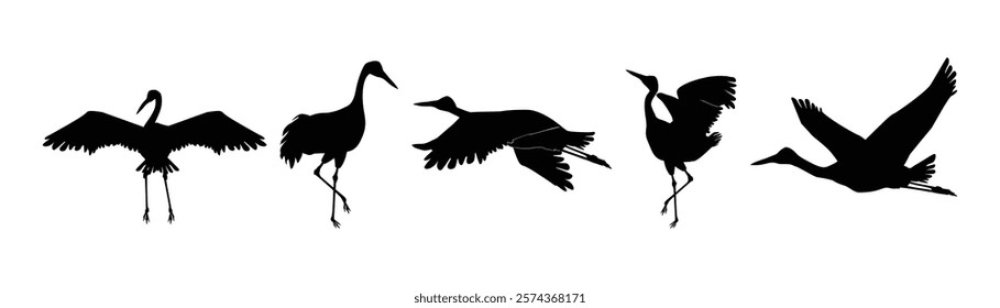 silhouette of a sandhill crane vector illustration