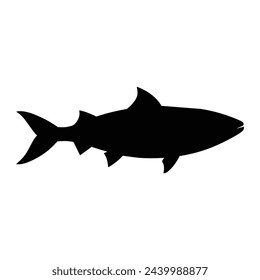 silhouette of a sardine fish  isolated on white