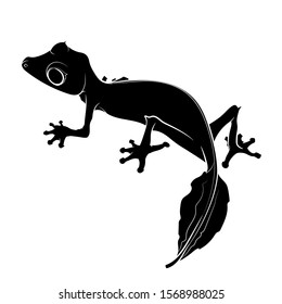 Silhouette of a satanic leaf-tailed gecko. Graphic drawing. Vector illustration.