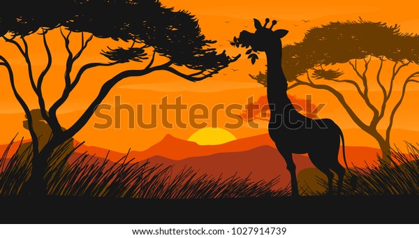 Silhouette Scene Giraffe Eating Leaves Illustration Stock Vector ...