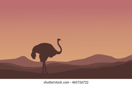Silhouette of scenery ostrich in the hills illustration