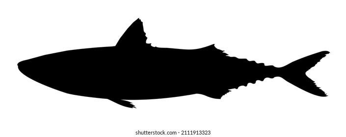 silhouette of a scomber fish vector illustration