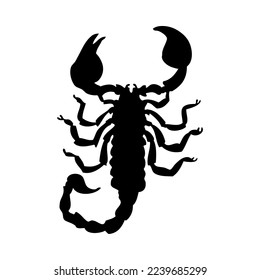 Silhouette of scorpion. Scorpion close-up detailed. Vector scorpion icon on white background.
