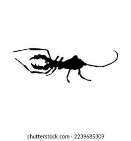 Silhouette of scorpion. Scorpion close-up detailed. Vector scorpion icon on white background.