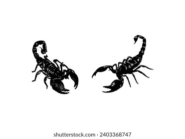 silhouette scorpion. Graphical of scorpion isolated elements. vector illustration, poisons insects