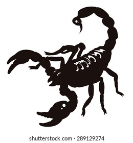 Silhouette of scorpion isolated on white. Vector illustration. Black and white