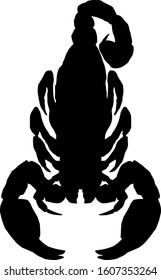 Silhouette of a scorpion as symbol for Scorpio which is the eighth sign of the zodiac. Vector illustration. 