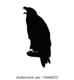 Silhouette of screaming eagle.