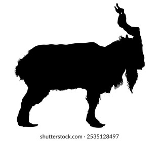 Silhueta de cabra de chifre de parafuso, markhor. Ilustração vetorial