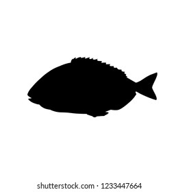 Silhouette of sea fish gilt-head bream. Vector illustration isolation on the white background