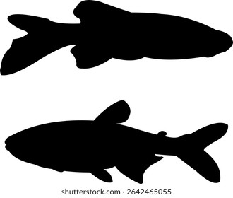 Silhouette of the sea fish simming freely in the open air