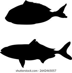 Silhouette of the sea fish simming freely in the open air