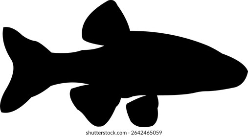 Silhouette of the sea fish simming freely in the open air