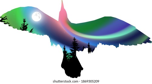 Silhouette of sea gull. Double exposure. Pine trees. Northern lights.
