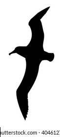 silhouette of the sea gull on white background