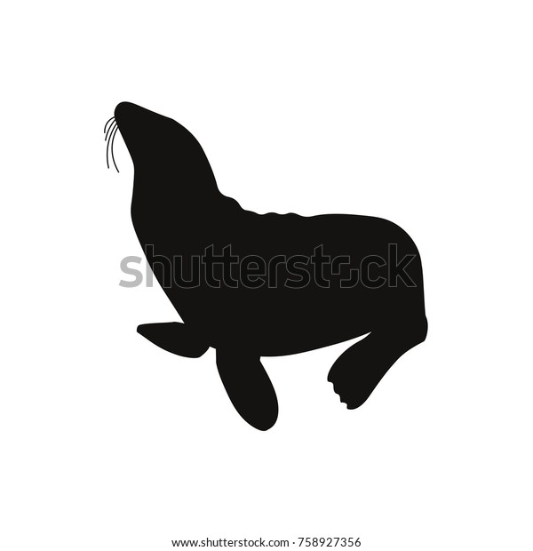 Silhouette of a sea lion. Vector icon on the\
white background
