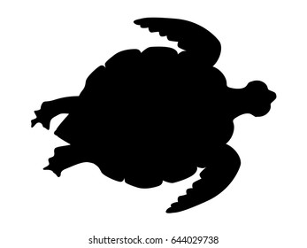silhouette of sea turtle