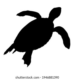 Silhouette of Sea Turtle. Vector Illustration of Eretmochelys Imbricata