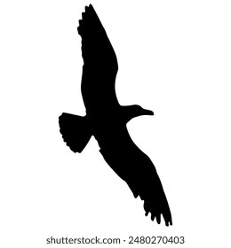 A silhouette of a seagull