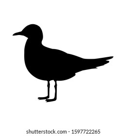 Silhouette of seagull bird isolated on white background. Vector stock illustration.
