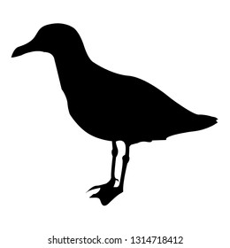 Silhouette of a seagull sitting. Vector isolated illustration. Icon seagulls. Black colour.