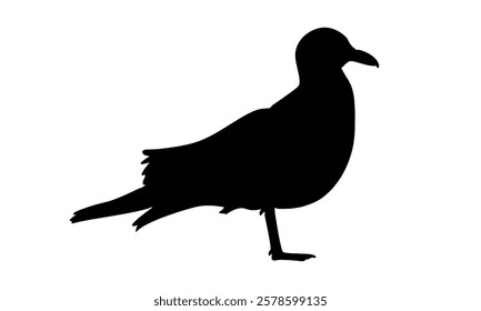 silhouette of seagull vector illustration