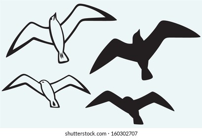 Silhouette of seagulls isolated on blue background