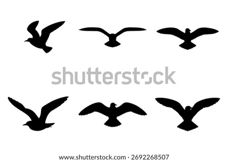 silhouette of of seagulls soaring in the sky