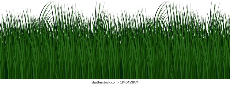 Silhouette of seamless dark green grass, vector eps10 illustration props for decoration