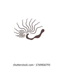 silhouette seashell on white background