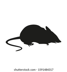 Silhouette of a seated domestic mouse, rat. Vector illustration isolated on white background