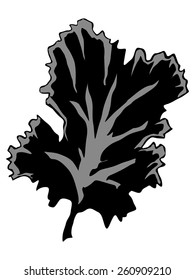 silhouette of seaweed