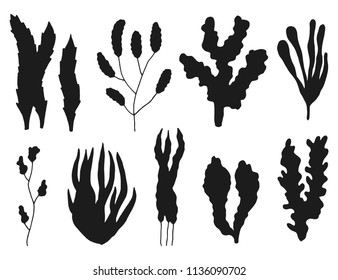 silhouette of seaweed set. isolated on white background