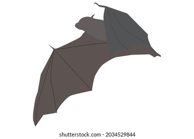 Silhouette seen from the side of a flying bat