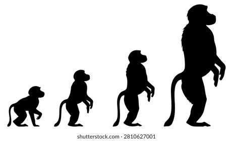 Silhouette sequence depicting human evolution from primate ancestors to modern humans in a black and white style.