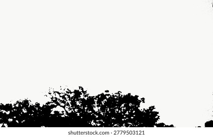 Silhouette Serene Tree Canopy Low Angle Natural Scenery Background