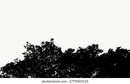 Silhouette Serene Tree Canopy Low Angle Natural Scenery Background