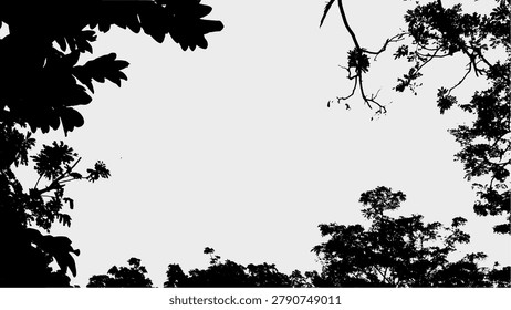 Silhouette Serene Tree Canopy Low Angle Natural Scenery Background