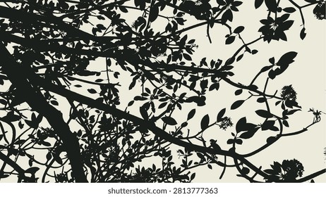 Silhouette Serene Tree Canopy Low Angle Natural Scenery Background