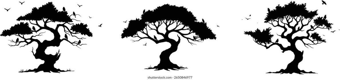 Silhouette Serenity Eerie Trees with Raven Guardians and Flight in a Monochrome Dance Creating Enigmatic and Timeless Visuals