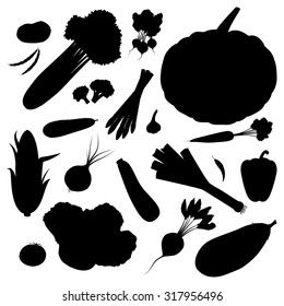 Silhouette set of 20 vegetables: asparagus, beans, beet, broccoli, carrot, celery, corn, cucumber, eggplant, garlic, leek, lettuce, onion, pepper, pod, potato, pumpkin, radishes, tomato, zucchini.