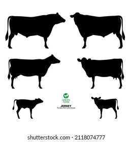 Silhouette Set Of Bull, Cow, Calf. Jersey - The Best Milk Cattle Breeds. Farm Animals. Vector Illustration.